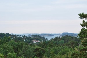 DSC_0176